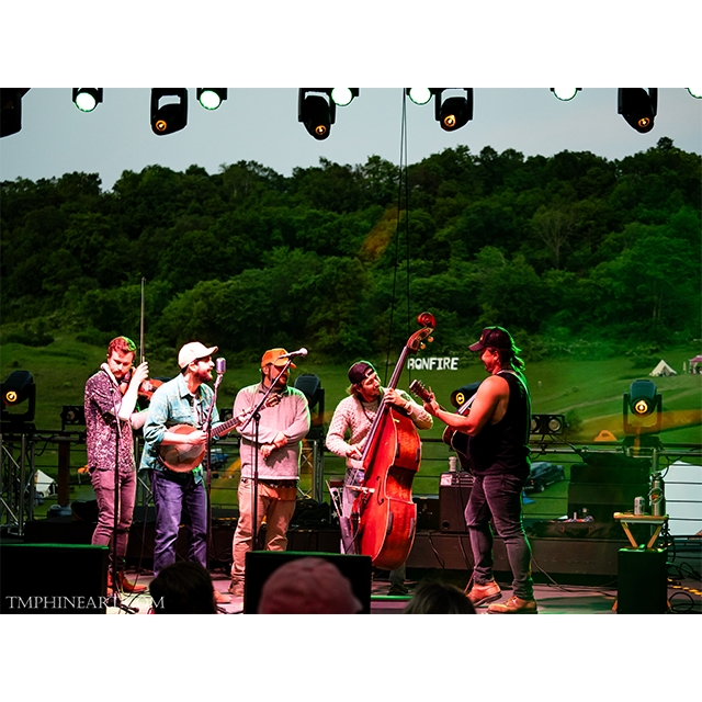 Blog — Driftless Music Gardens