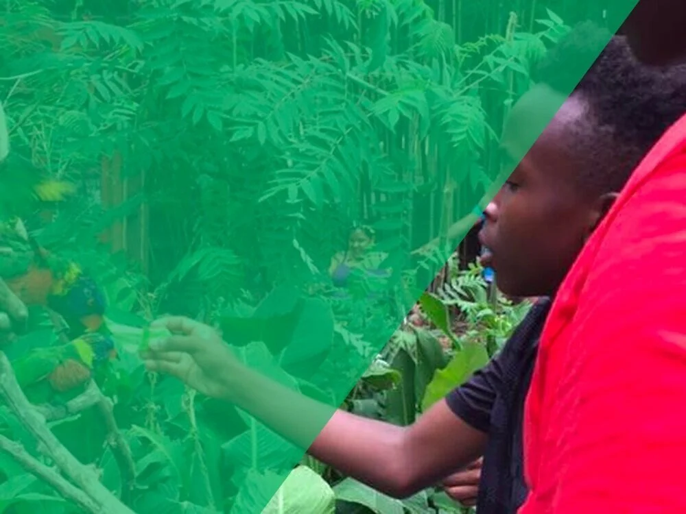   We believe all youth have the potential to flourish.     Donate Now     Refer A Youth   