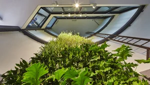About Us — Evolved Engineering