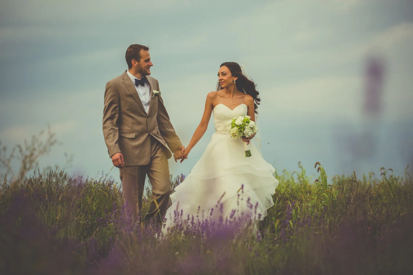 Lavender Fields at Springfield Manor