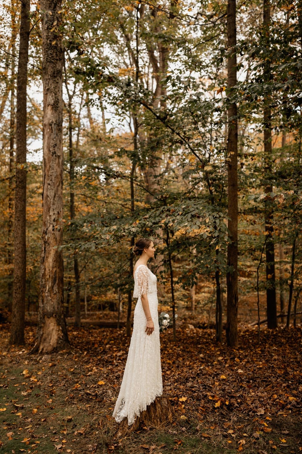  barbara o photography, dc wedding photographer, nyc wedding photographer, baltimore wedding photographer, destination wedding photographer, elopement wedding photographer, elopement, elopement photographer, fall wedding, md micro wedding 