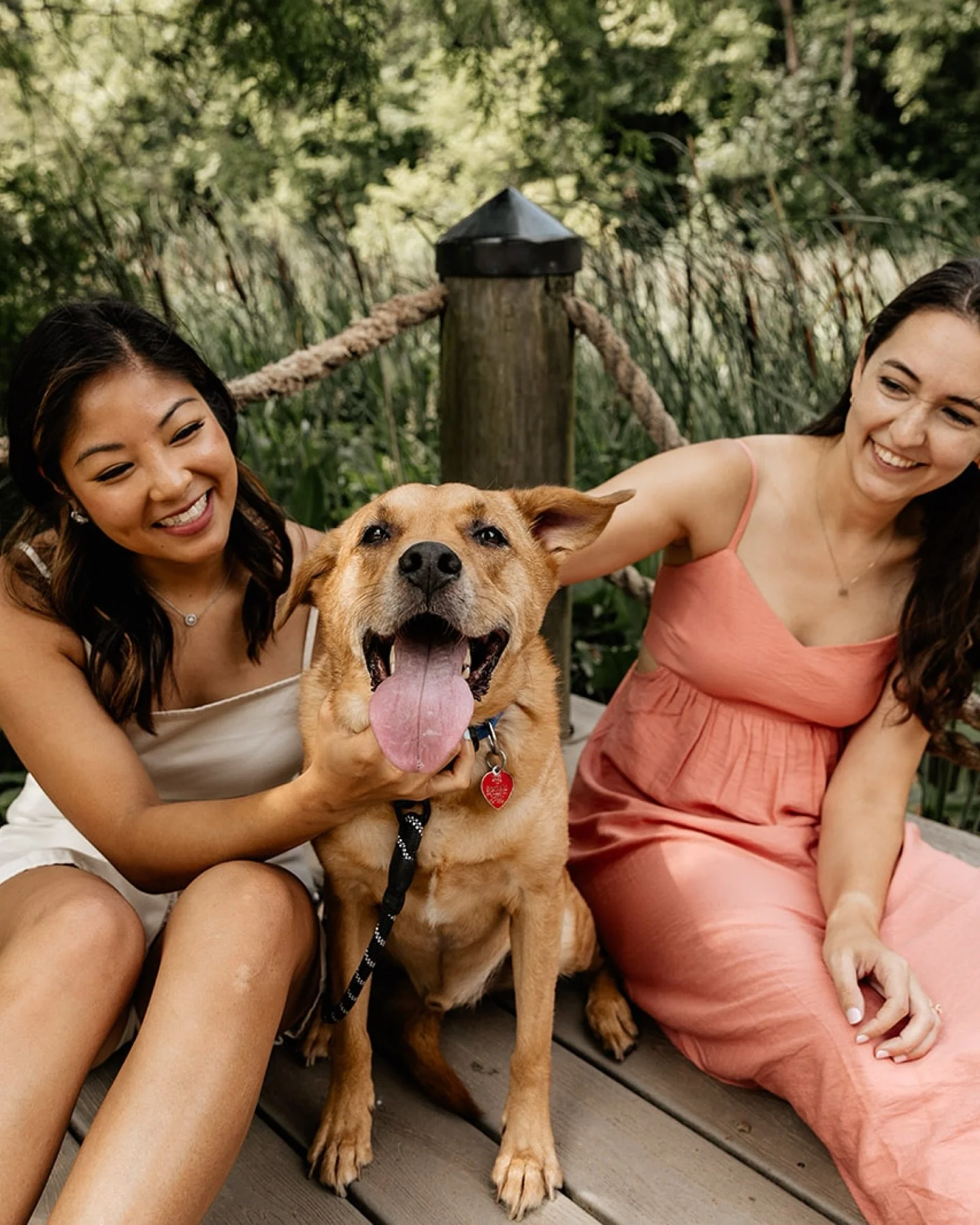 Loved taking these two and their fur baby Brady to Theodore Roosevelt Island to celebrate their engagement!

Quintessential summertime vibes 😎.

The countdown is on to their Fall wedding, and I can&rsquo;t wait!