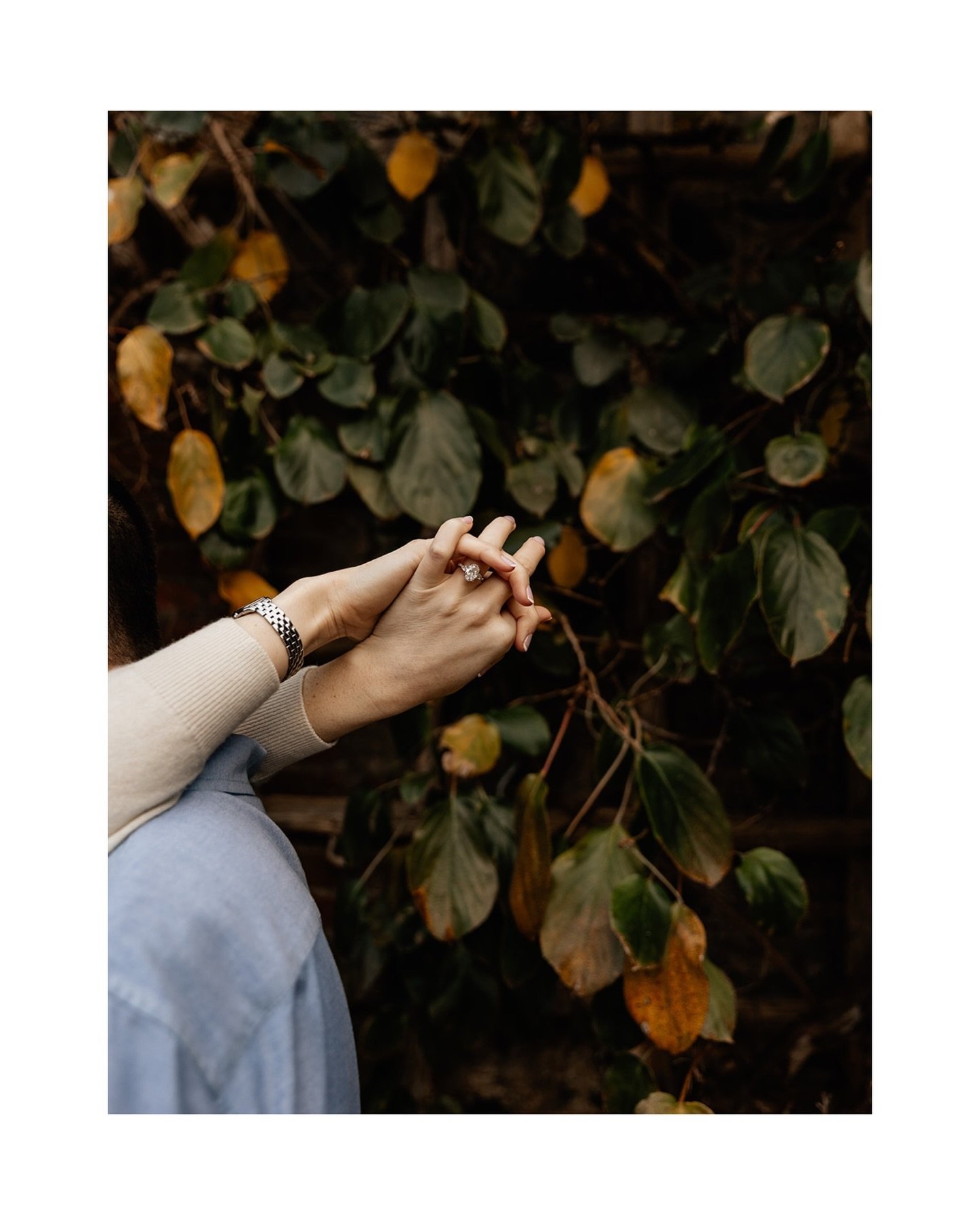 A late afternoon garden engagement session in DC is hard to beat. Green everywhere, soft light filtering through the trees, and plenty of space to wander, talk, and just hang out together.

These two showed up ready to move, laugh, and actually enjoy
