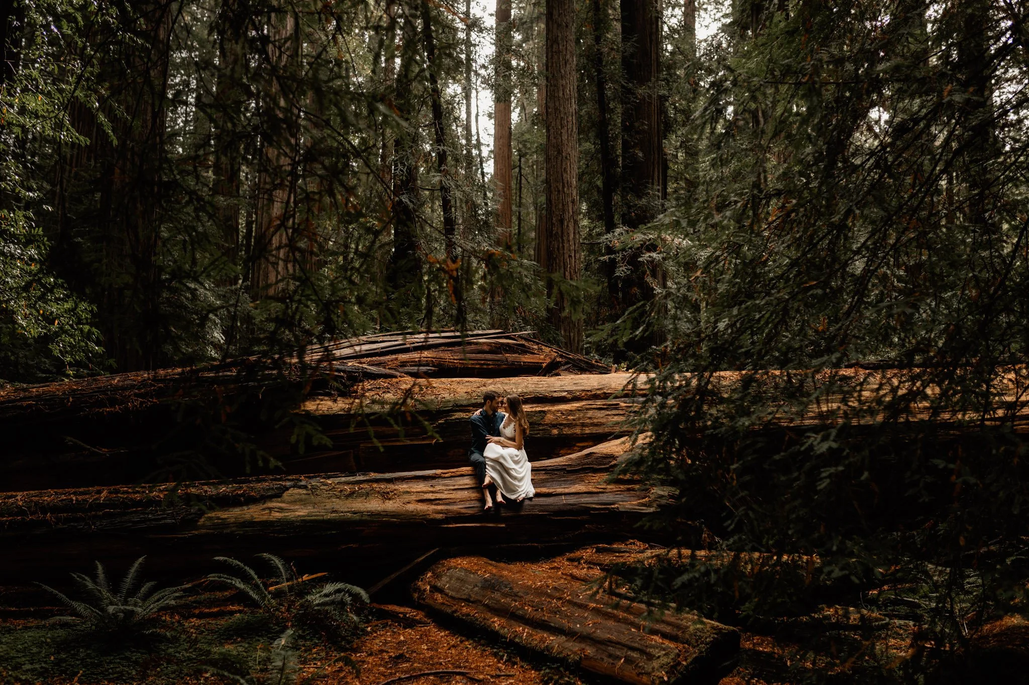 1809-bts nature elopement01.jpg