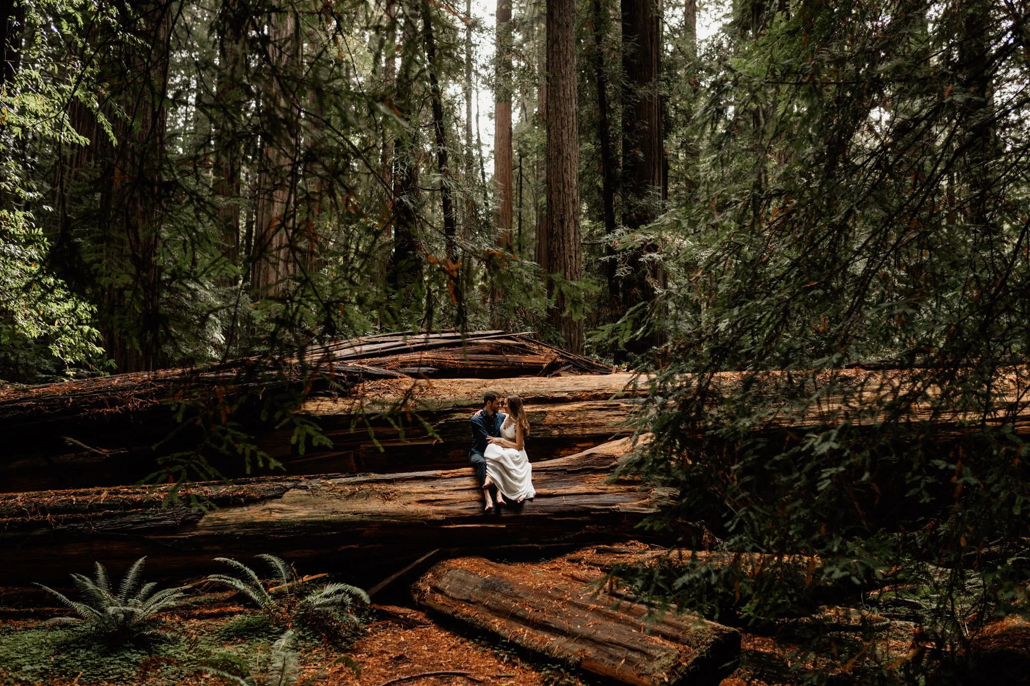 california redwood destination wedding photographer-7.jpg