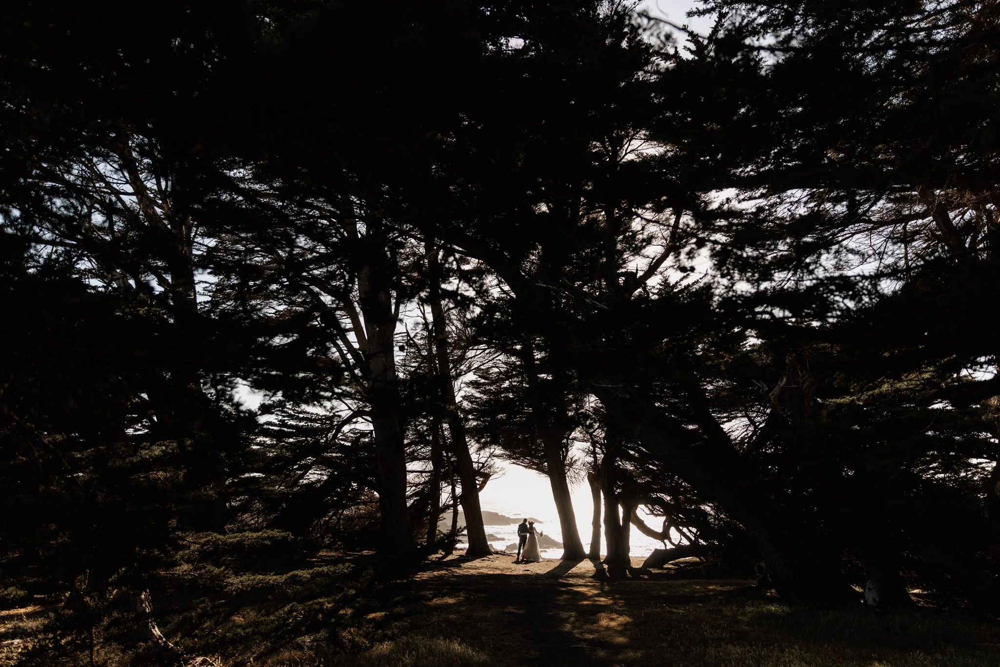 california destination elopement photographer-4.jpg (Copy)