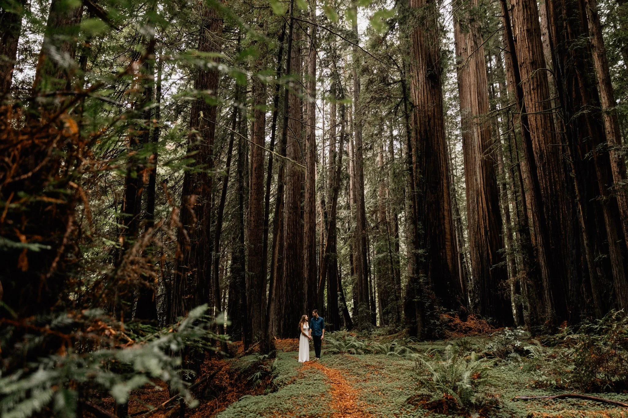 california redwood destination wedding photographer-3.jpg (Copy)