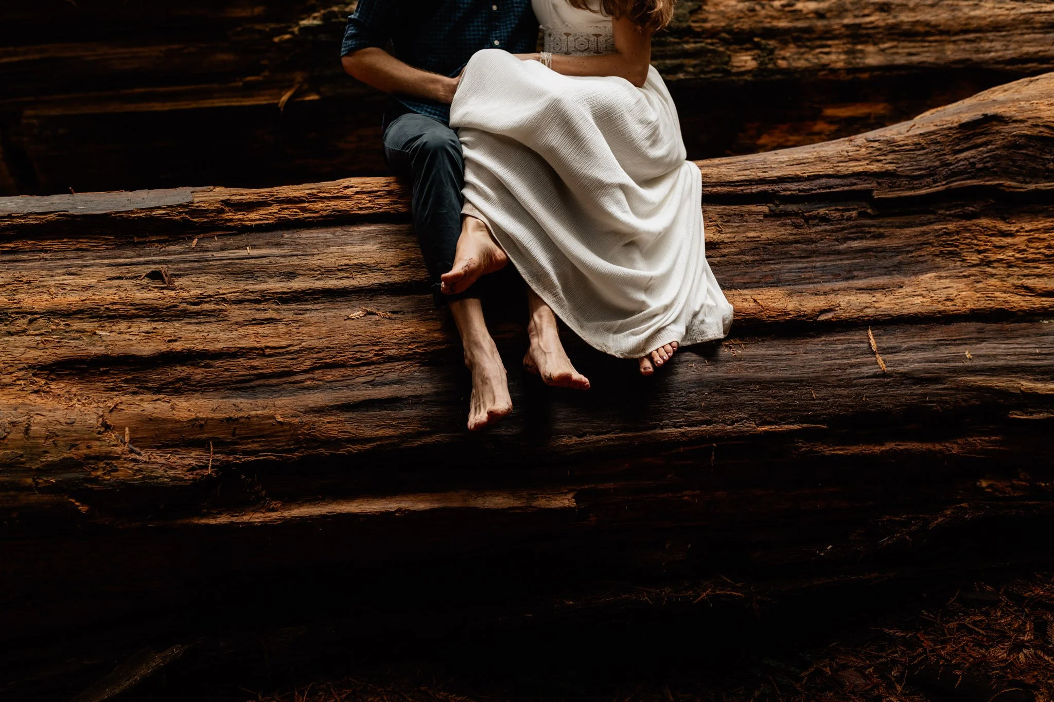 california redwood destination wedding photographer-8.jpg (Copy)