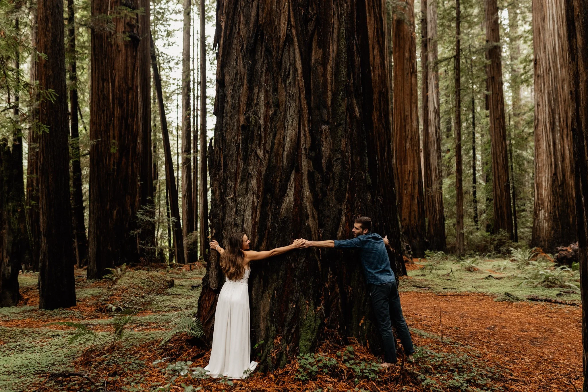 california redwood destination wedding photographer-6.jpg (Copy)