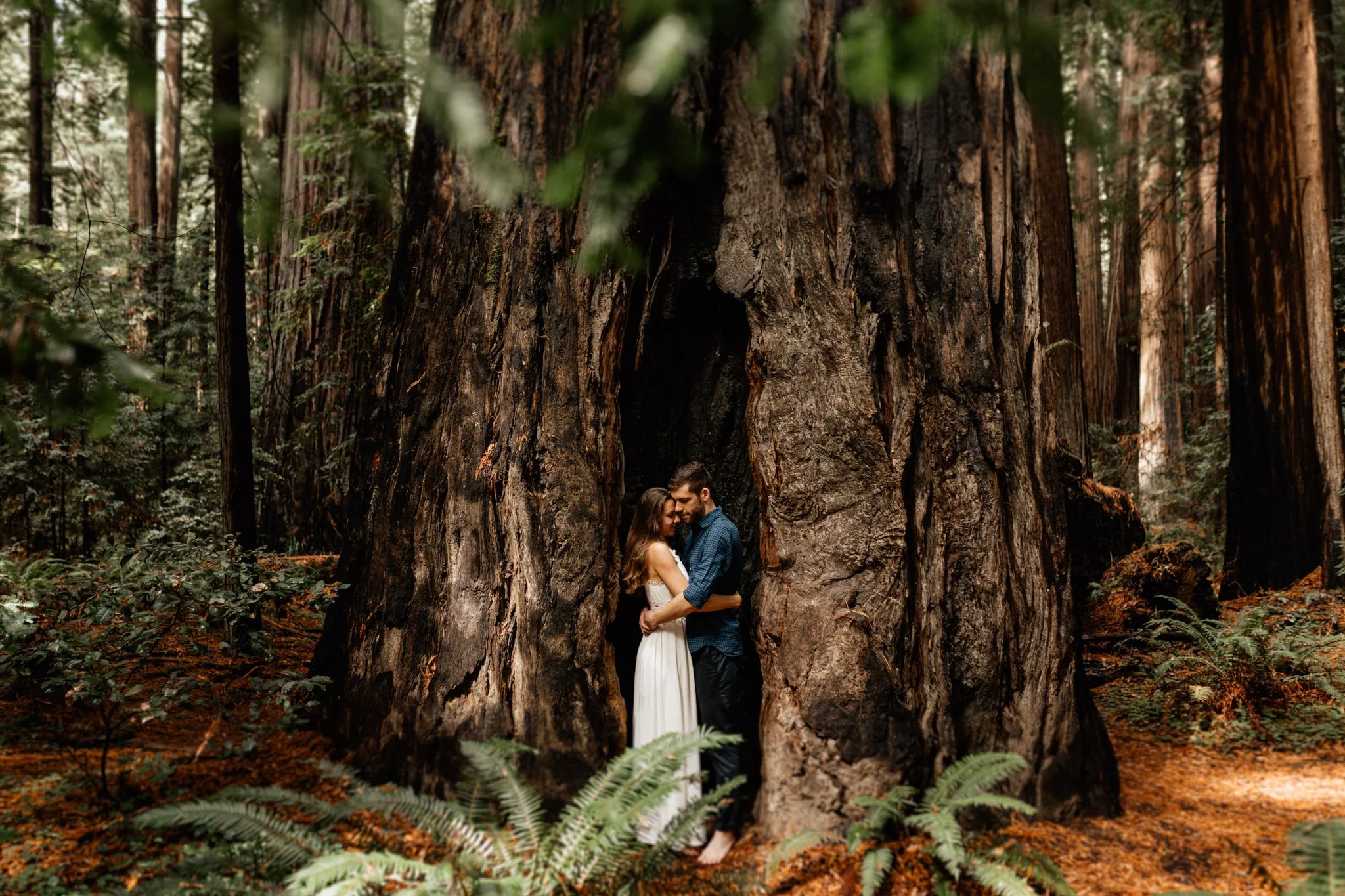 california redwood destination wedding photographer-10.jpg (Copy)