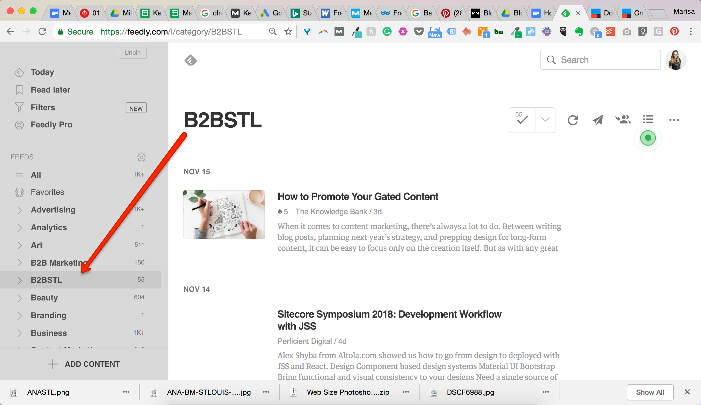 marisa lather feedly b2bstl.png
