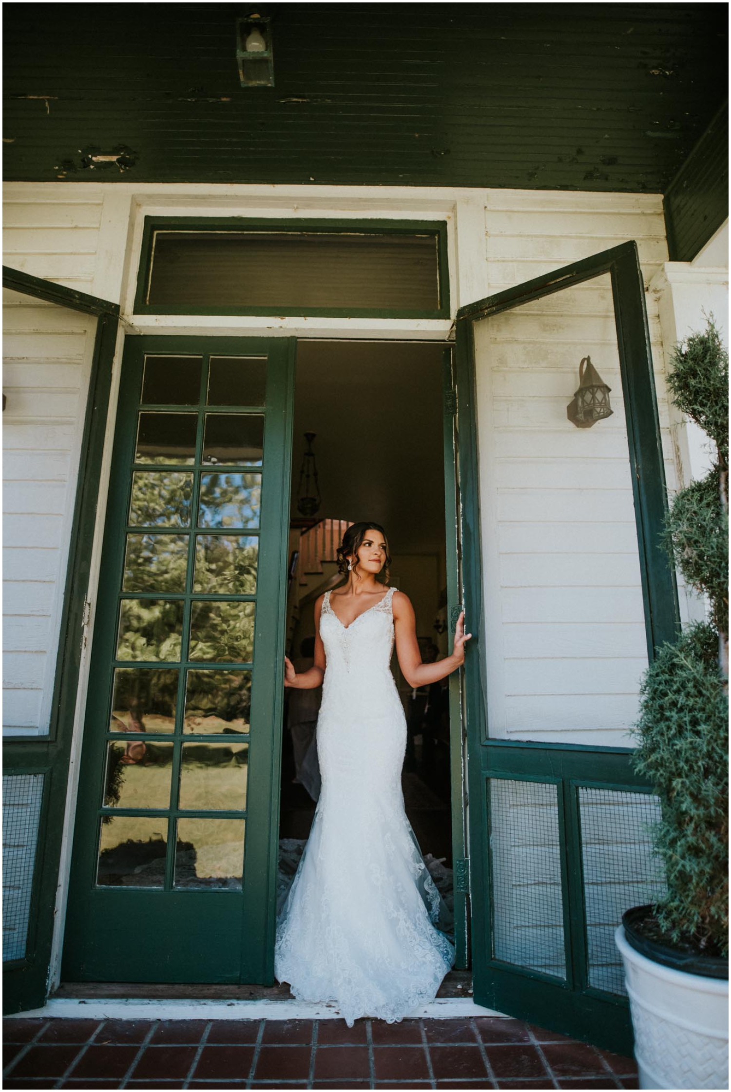  bride portrait 