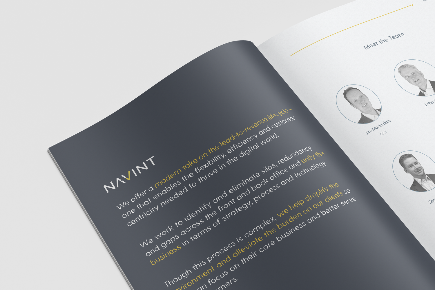 Navint-brand-guide-team-page.webp