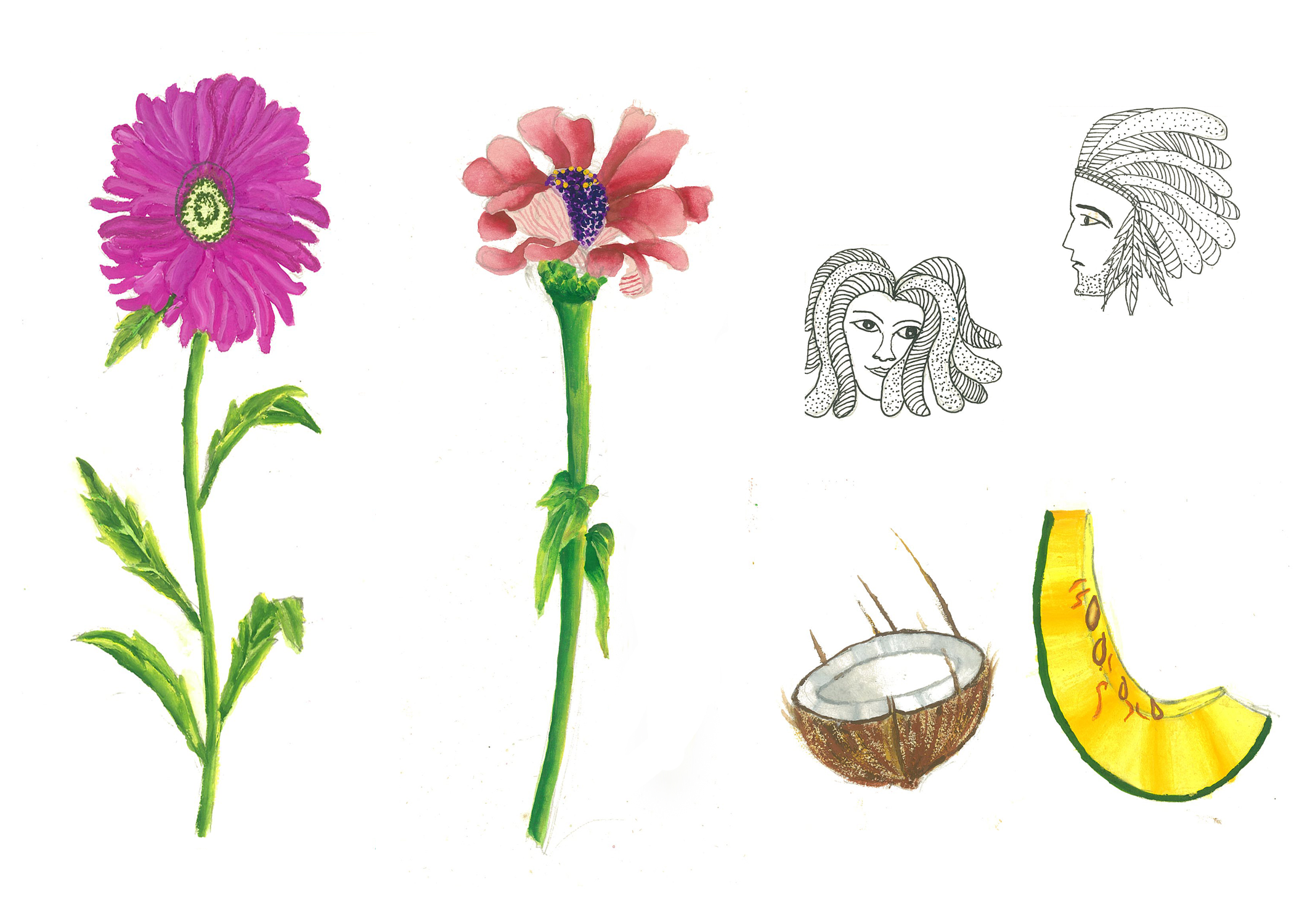 Nature Drawing