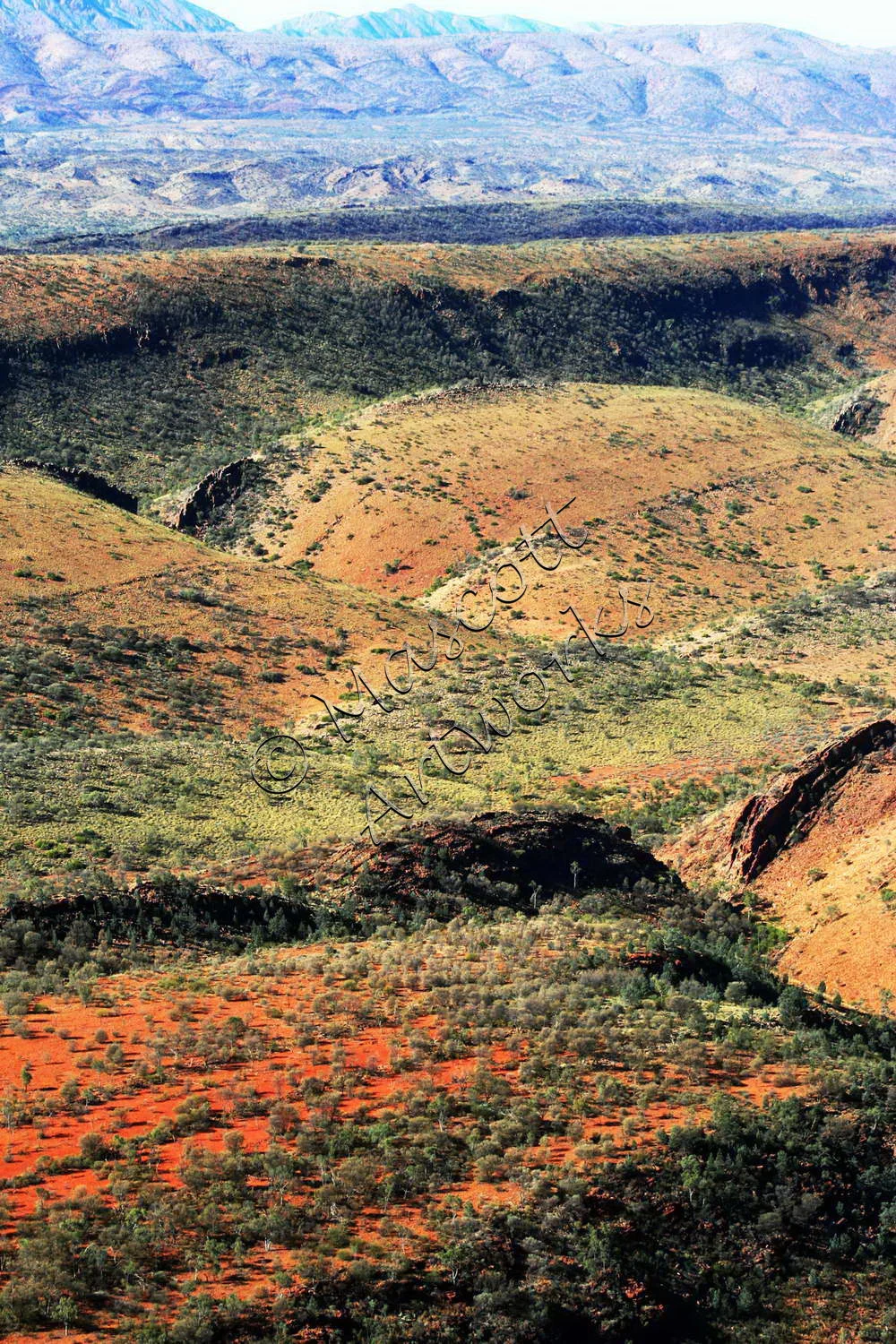 Pacoota ranges