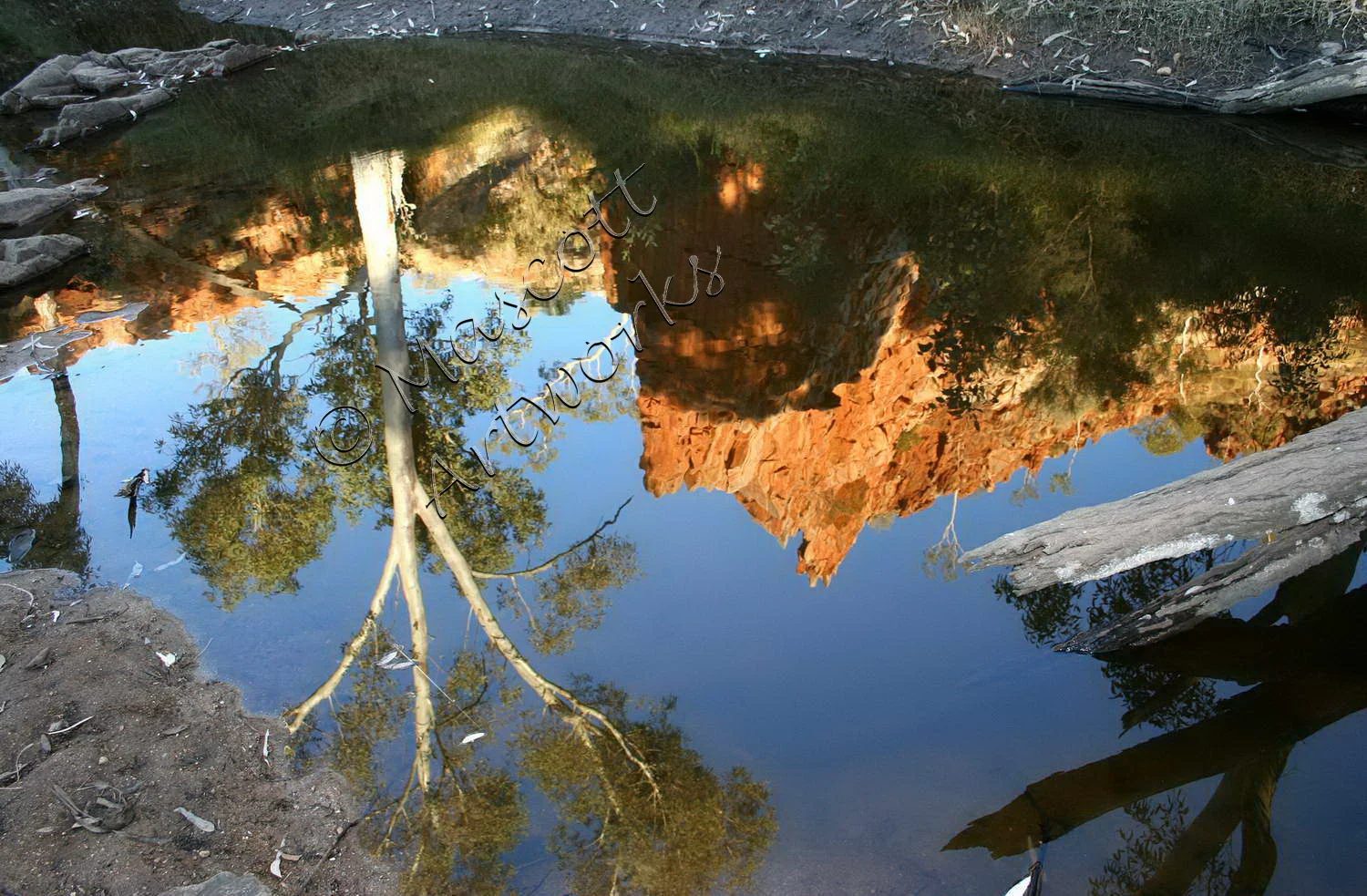 Reflections Birthday waterhole