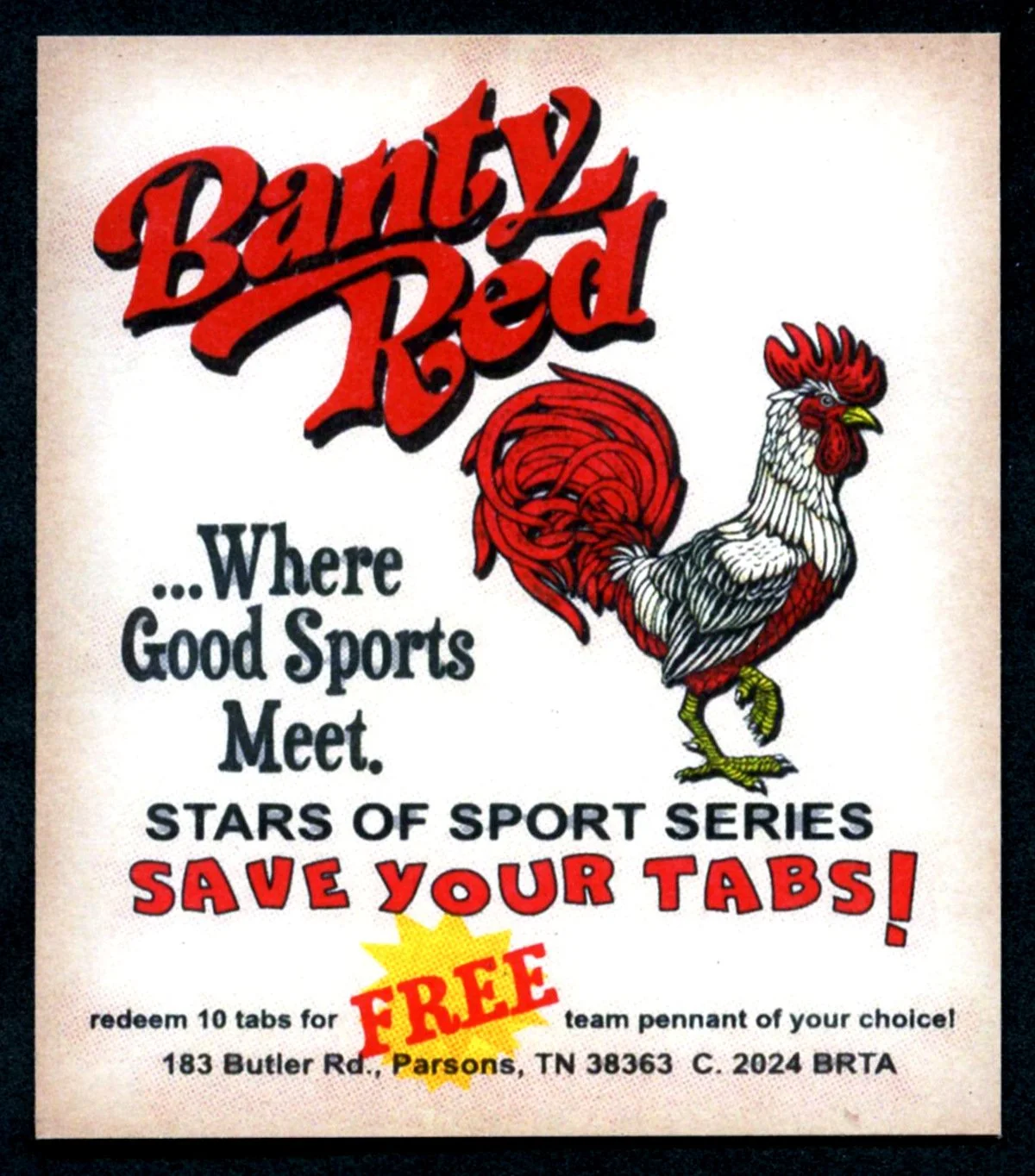 Christmas 2024 Session Two 542.jpg