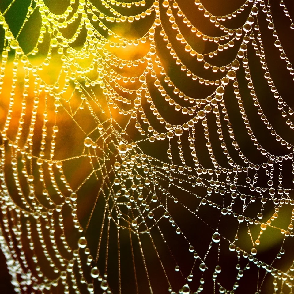 Hydration Chart (p115)