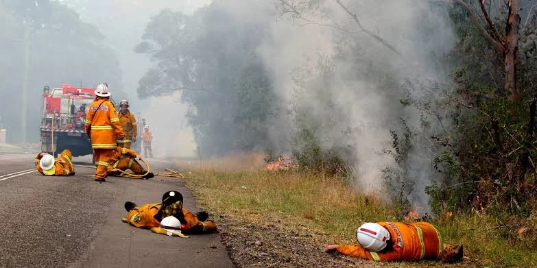 resilience - newsletter.jpg