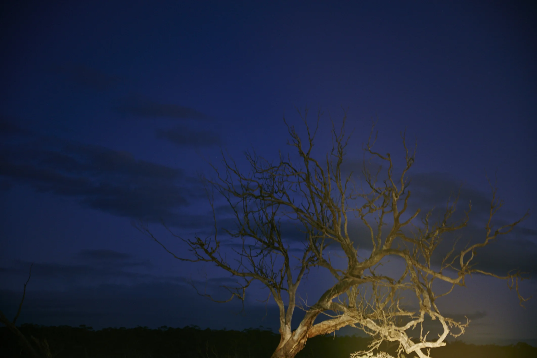 20150706 Sunrise 0060 1.jpg