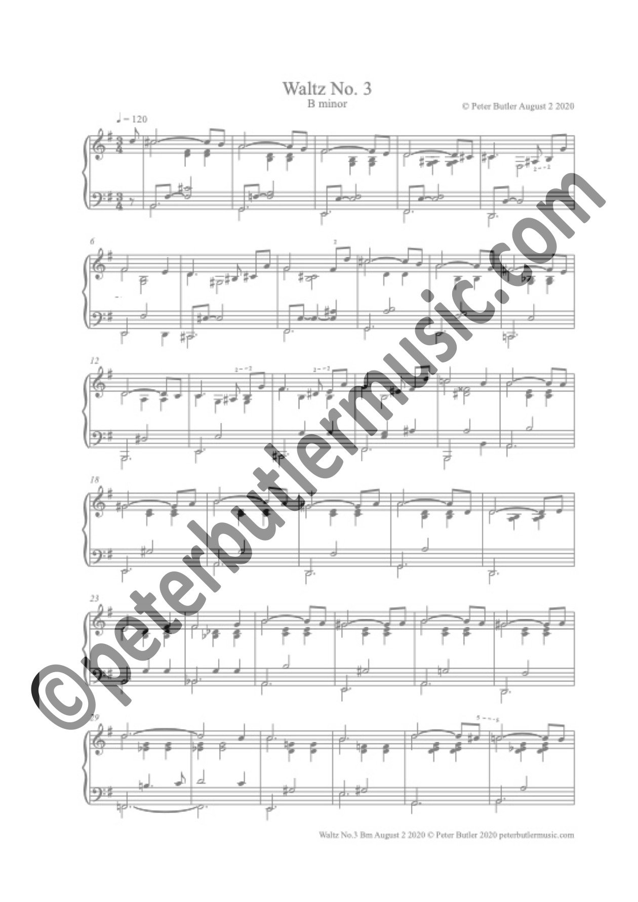 Waltz No.3 B minor 200802