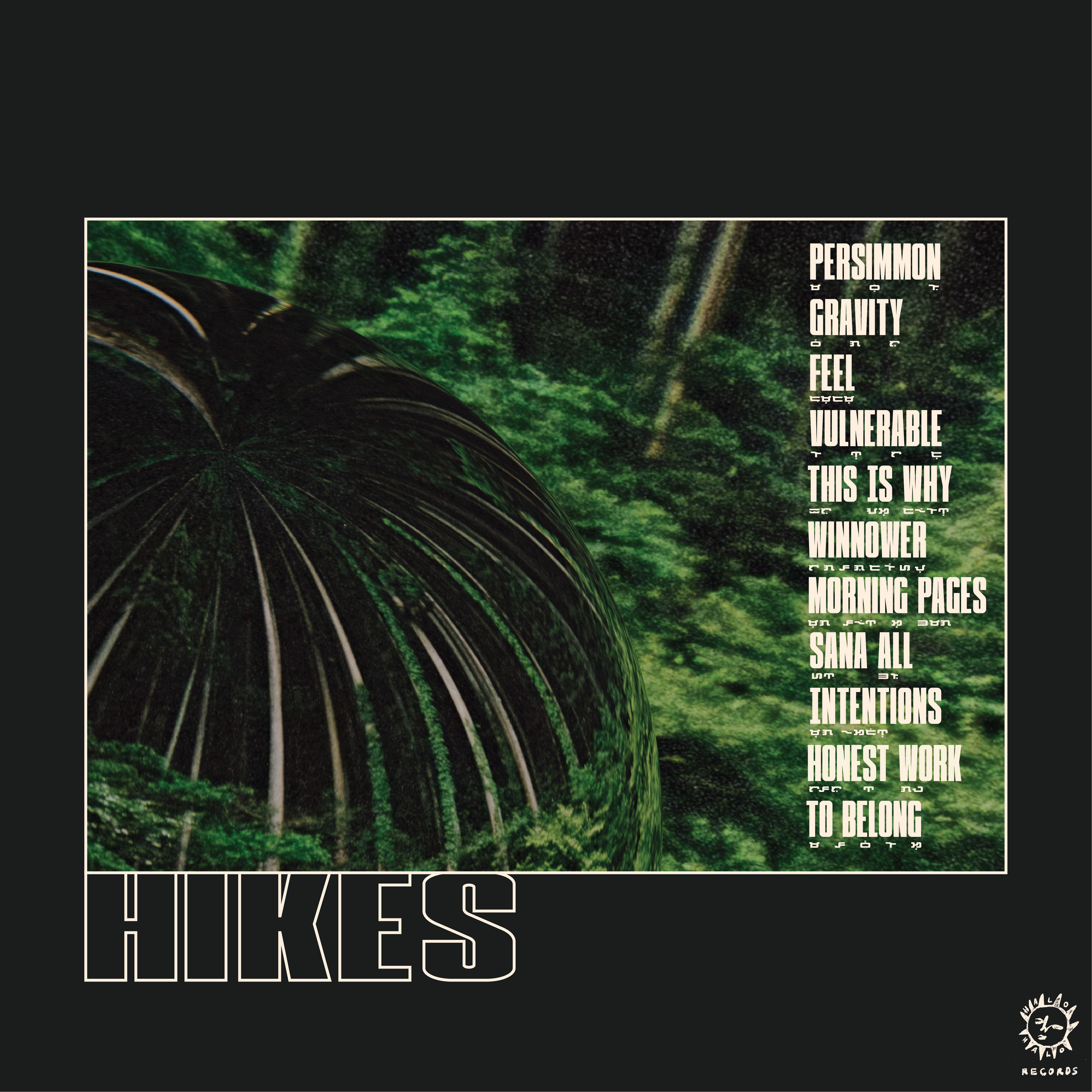 HIKES BACK COVER VINYL ART.png