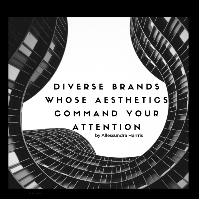 DIVERSE BRANDS WHOSE AESTHETICS COMMAND YOUR ATTENTION