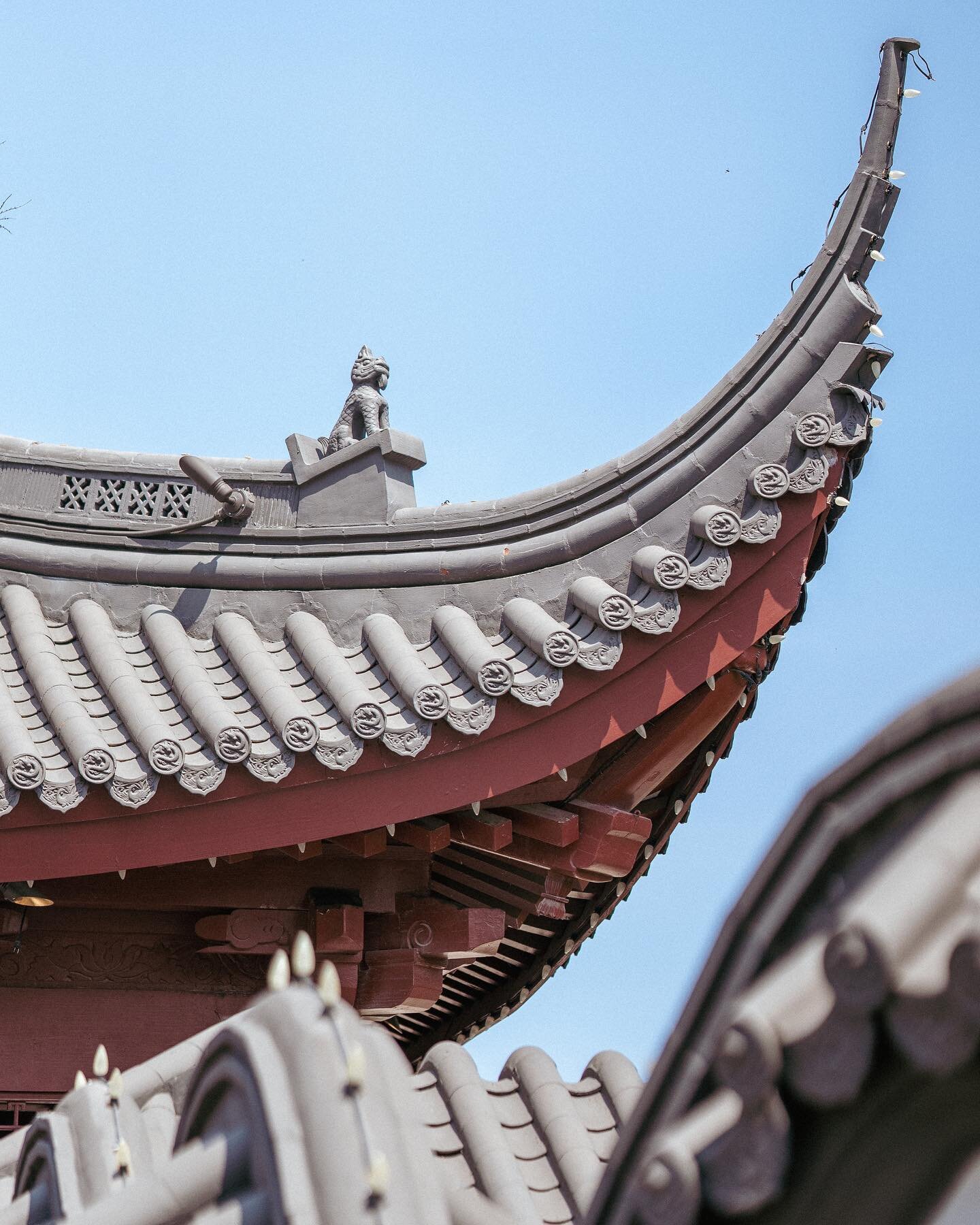 Hello friends! I just launched my photography blog found on my website where I&rsquo;ll post photos from my photo walks, photoshoots and even some photography tips and tricks for those of you interested in how to up your photo game. Don&rsquo;t want 