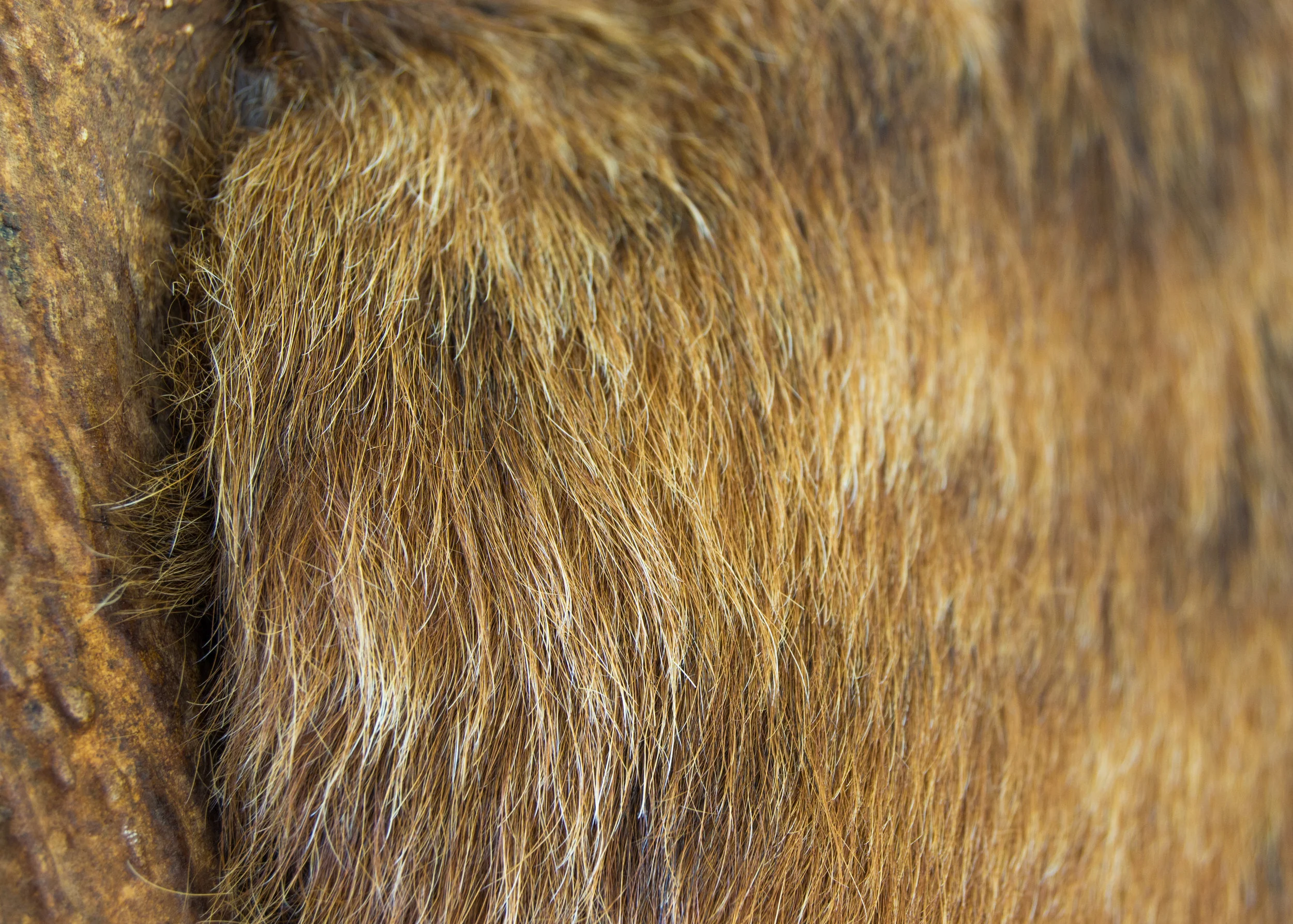 Detail 7.jpg