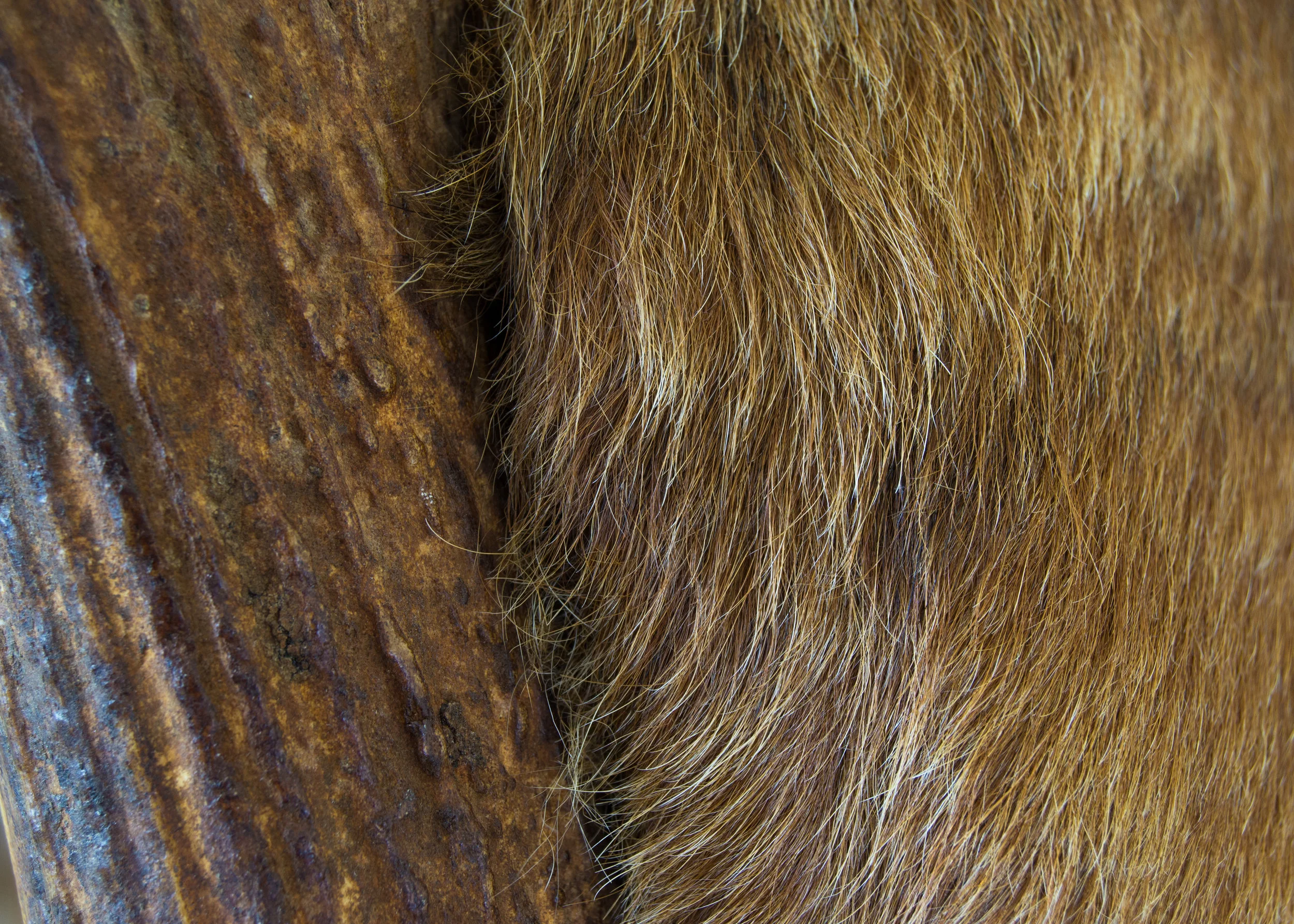 Detail 6.jpg
