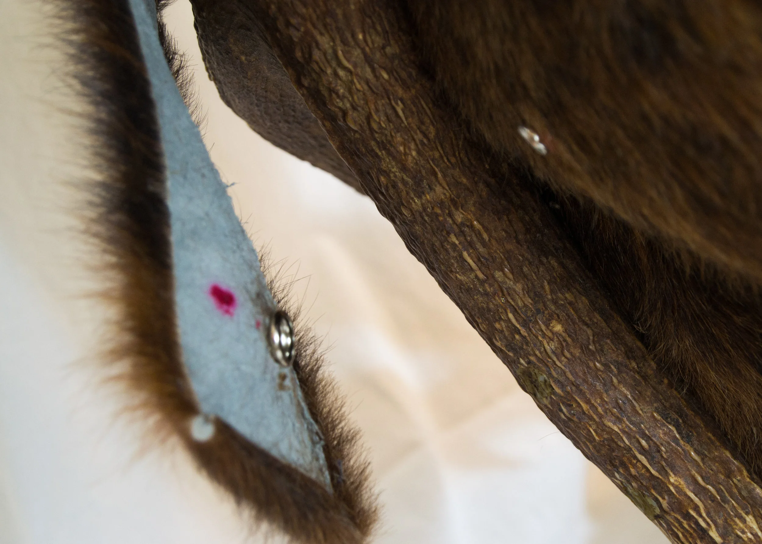 Detail 9.jpg