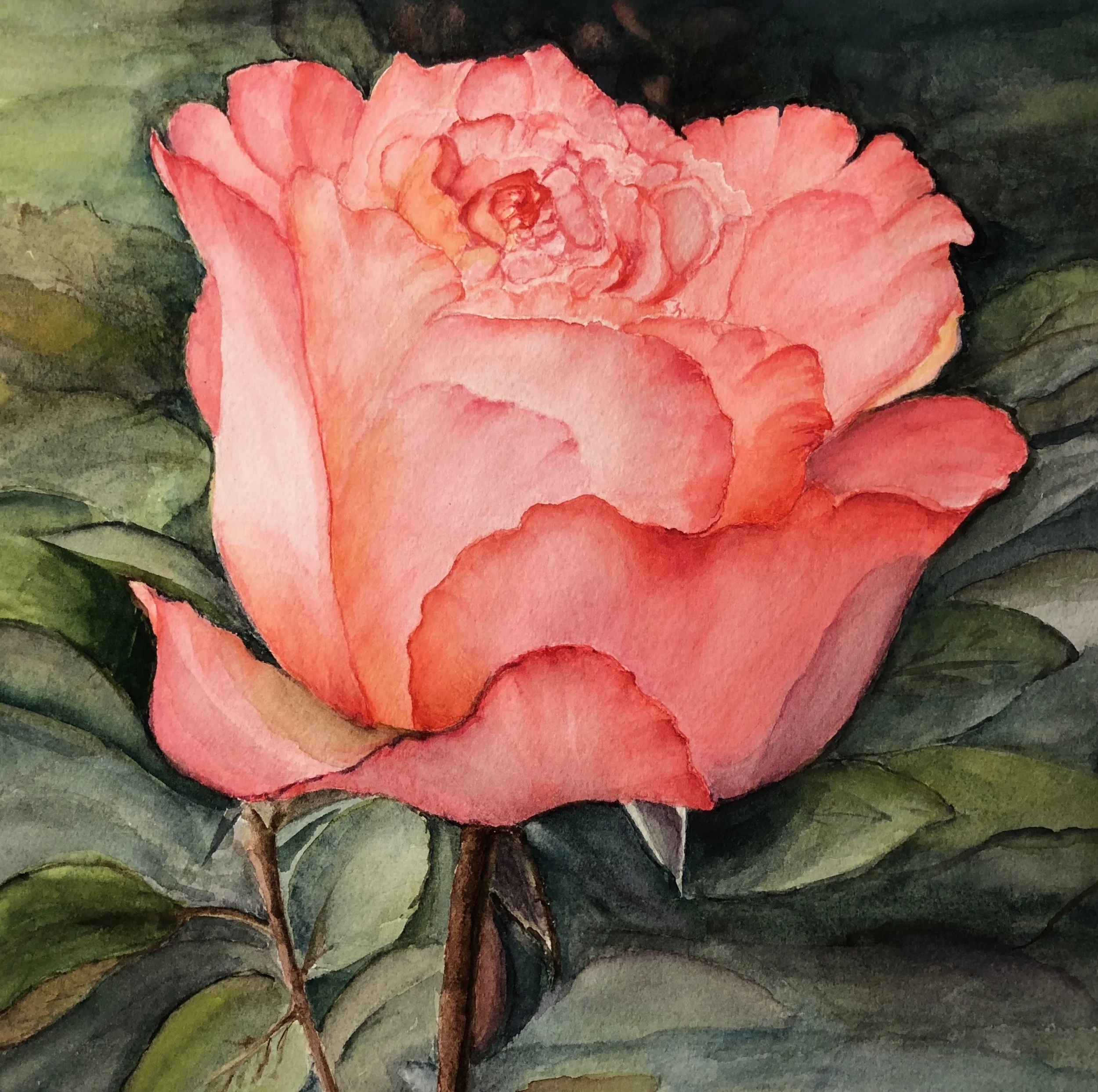 Watercolor- Flower Study