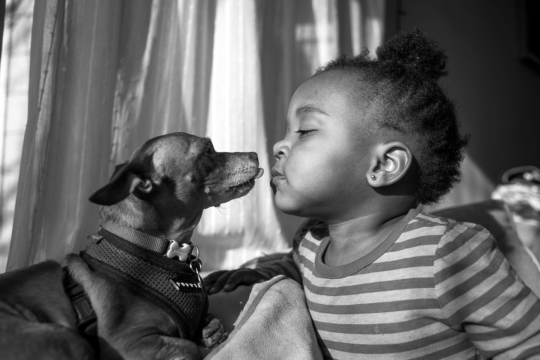 16 month old girl kissing her dog