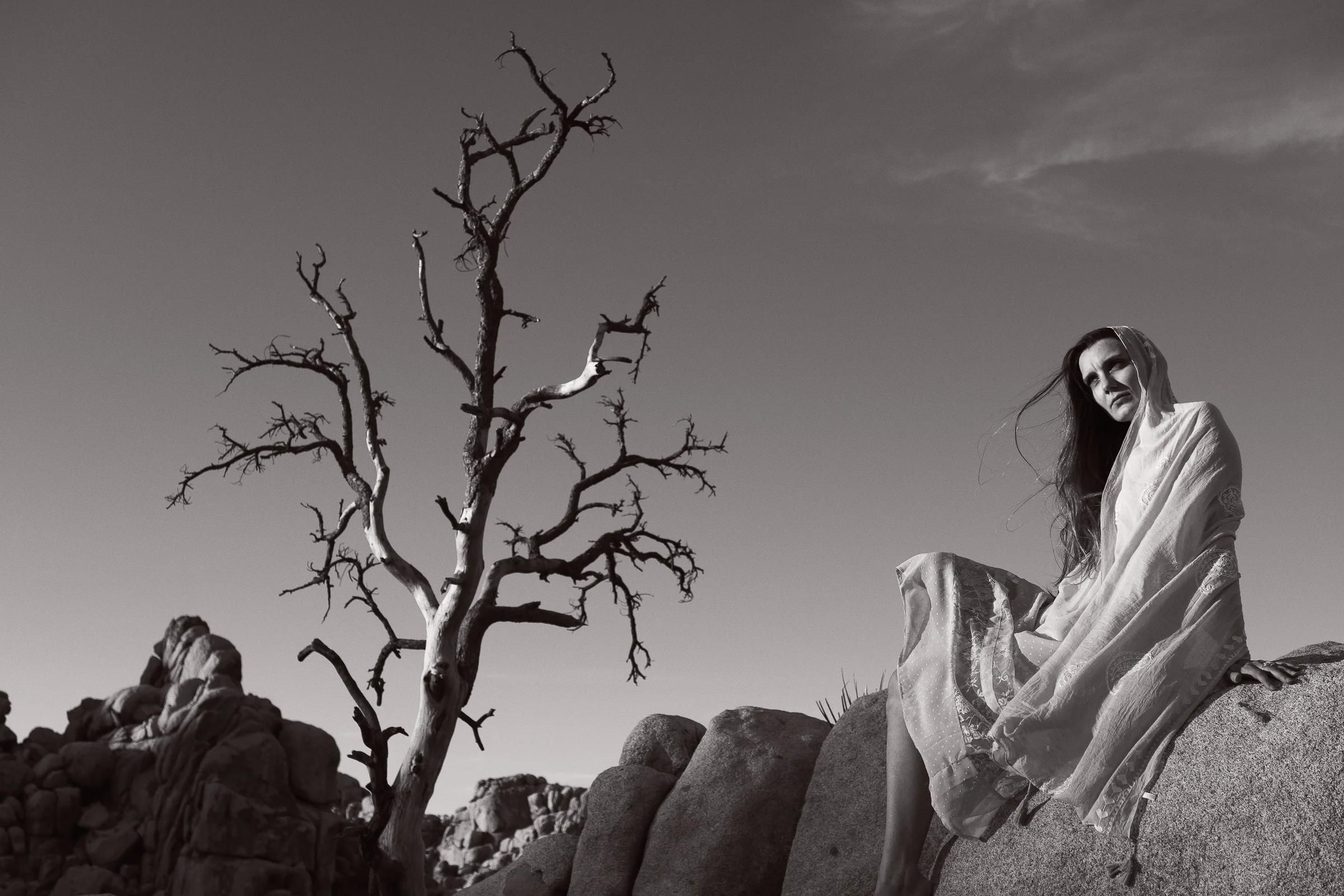 GMP_Day3JoshuaTree-1406-2.jpg