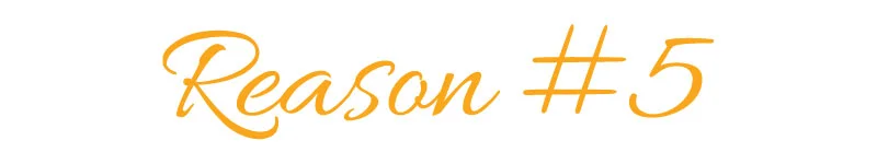 Reasons-Titles5.jpg