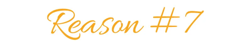 Reasons-Titles7.jpg