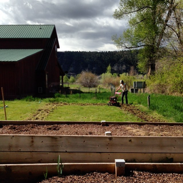 Breaking ground for Phase I of our flower "farm". Total acreage: .0165! or 720 square feet.