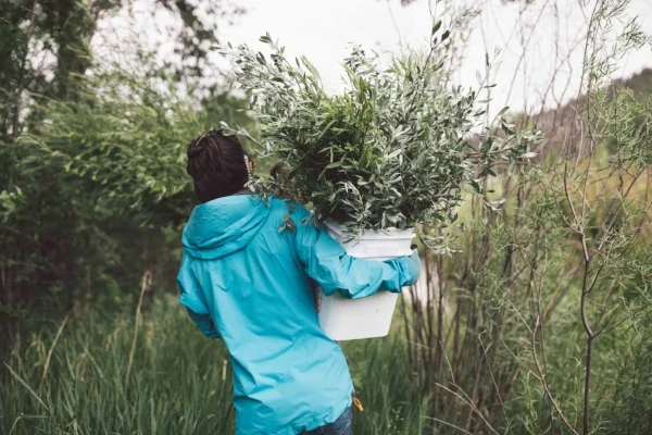 Tara and a bucket of russian olive and willow-soon to be part of her own wedding bouquet.