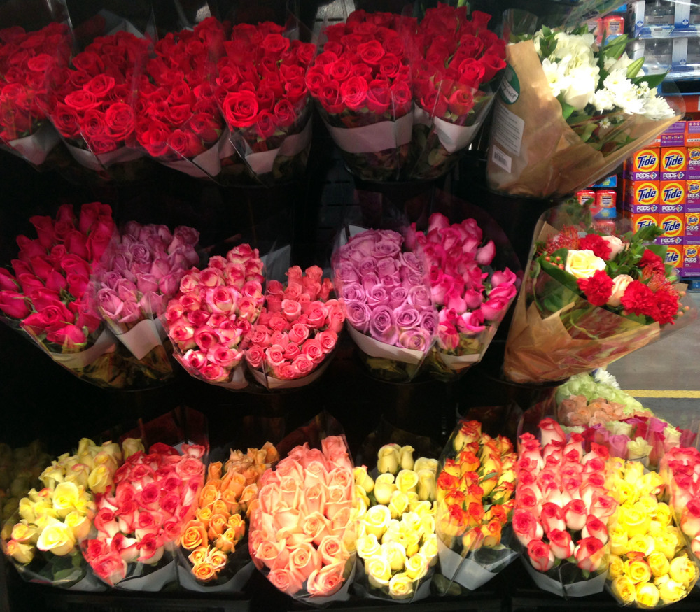 The Ugly Side of Pretty Flowers: Intro