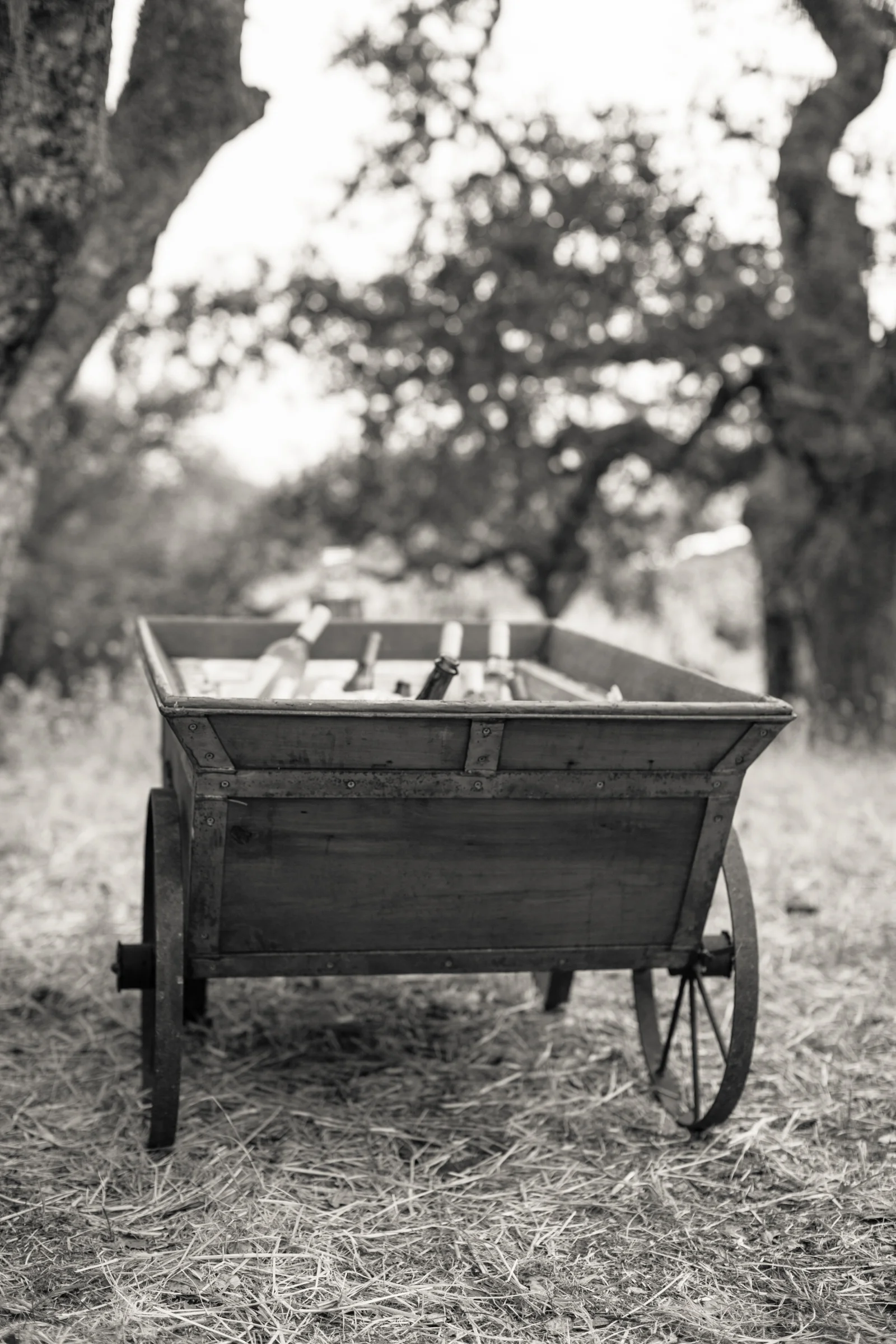Paige Bertelsen Photography