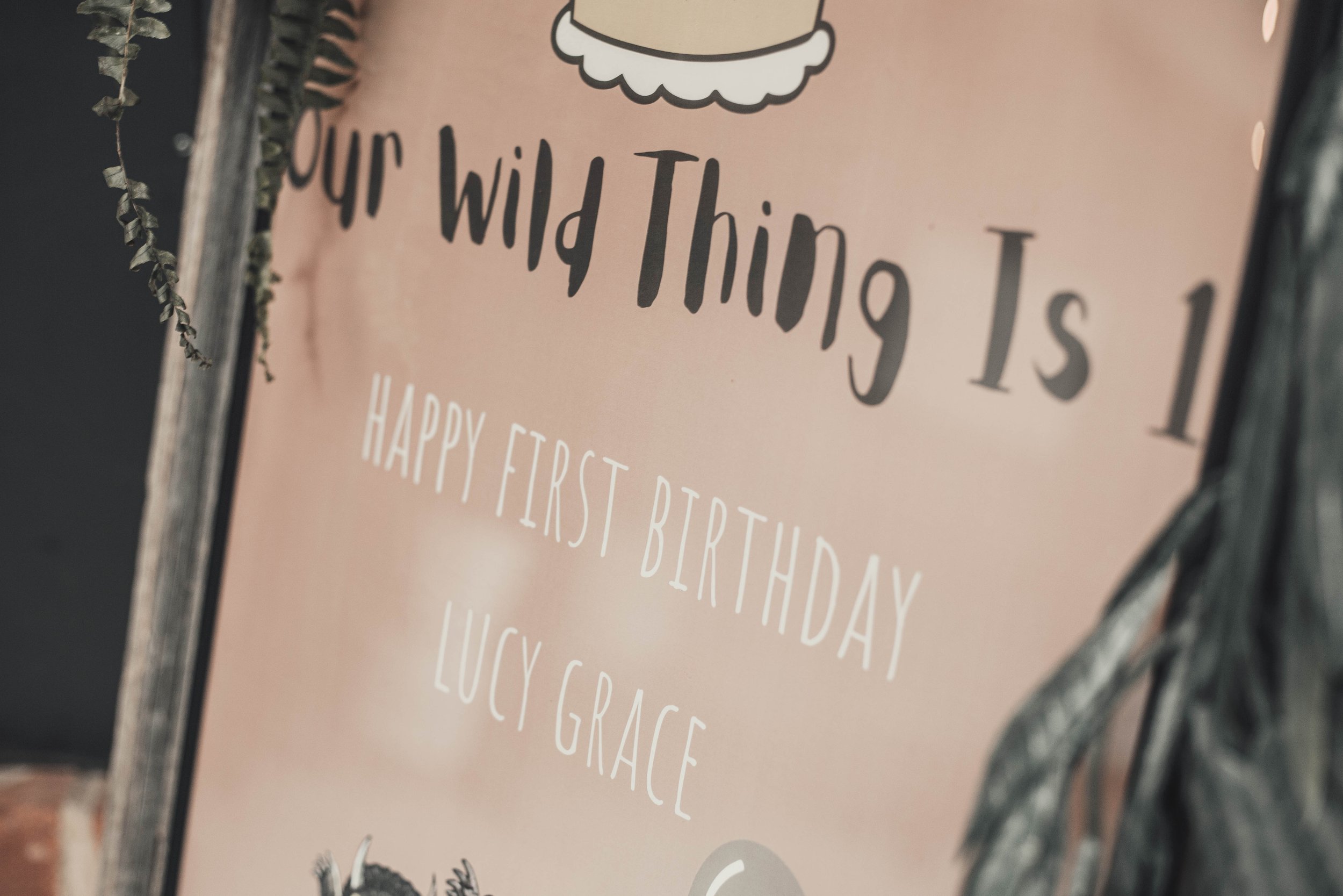 Lucy Grace Turns ONE-26.jpg