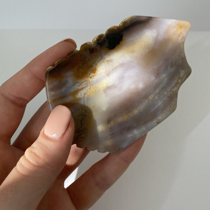 guashagreyagate.jpg