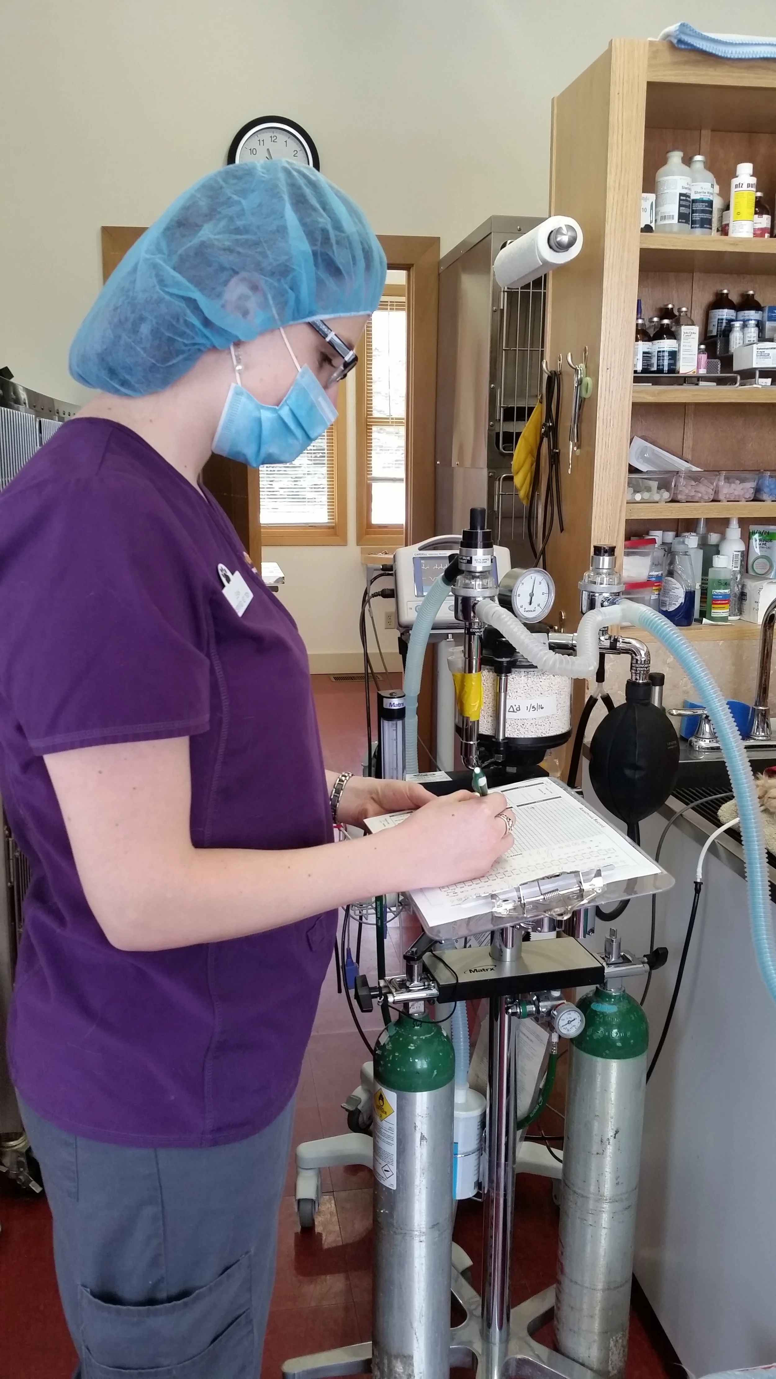Pet Dental Care