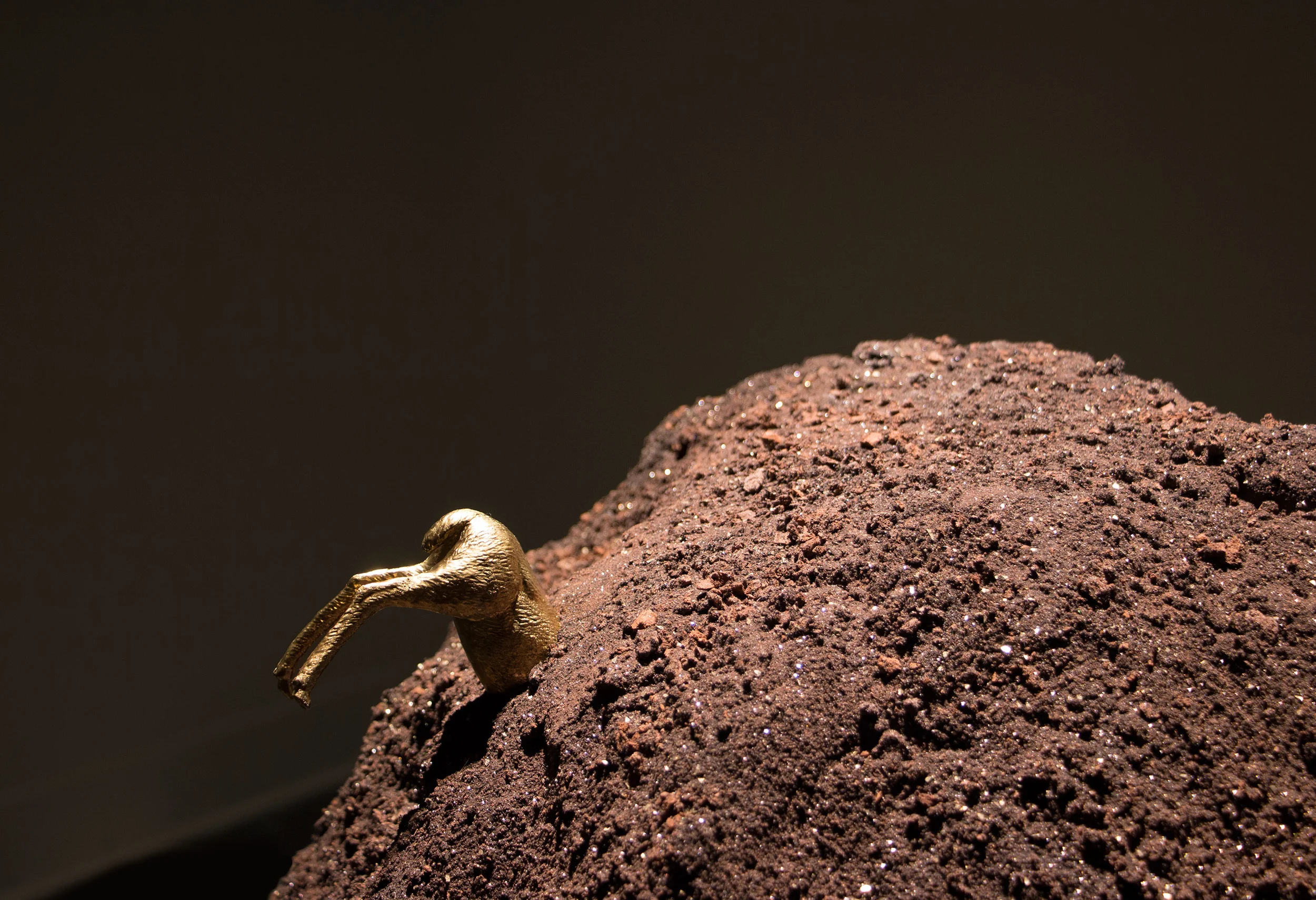 Incrustation of a Deer: (detail)