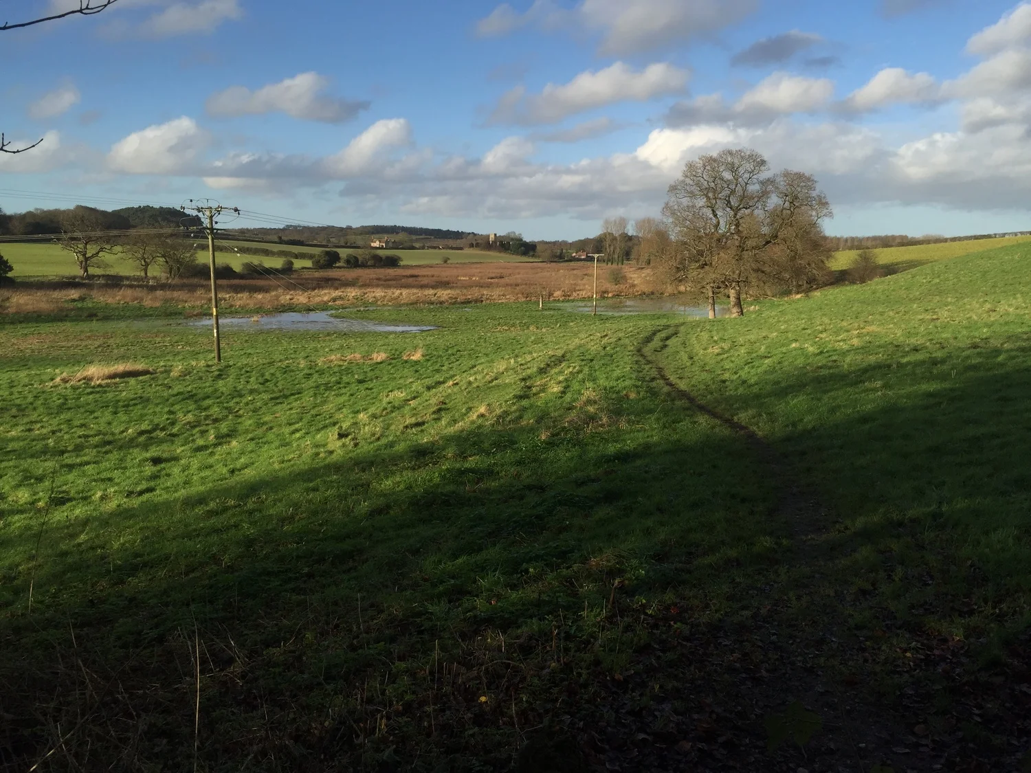 Bayfield water meadows in North Norfolk, home of Brays Cottage Pork Pies