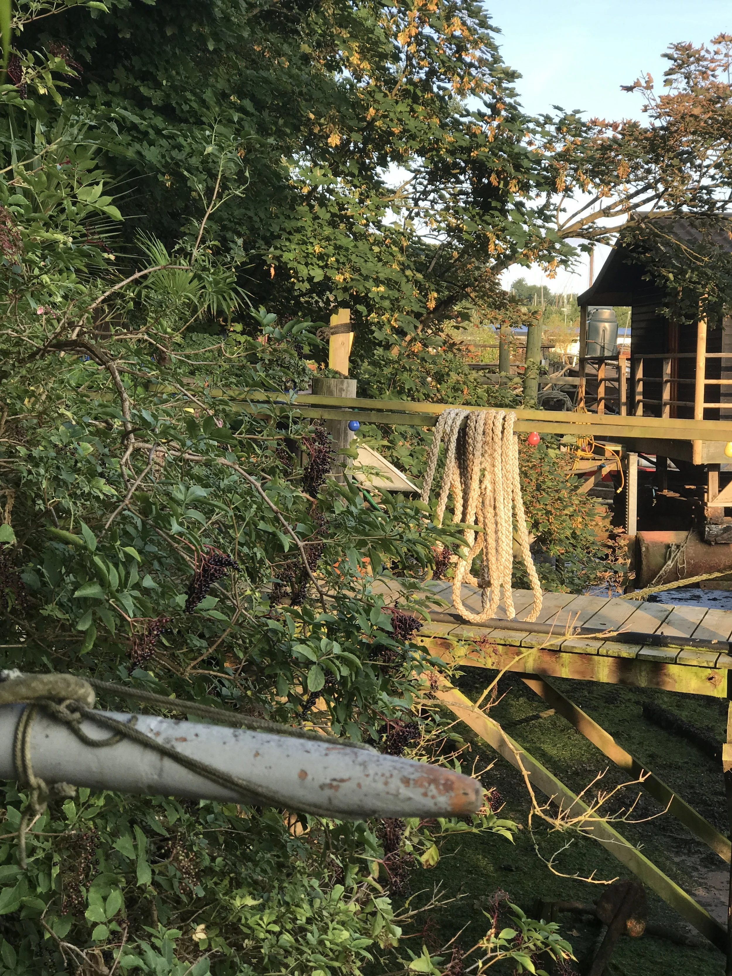 The wooden shed by the river. An AirB&B adventure a month.