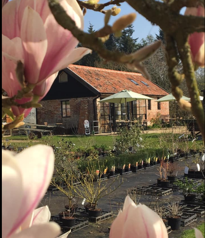 West Acre - Apple Cafe