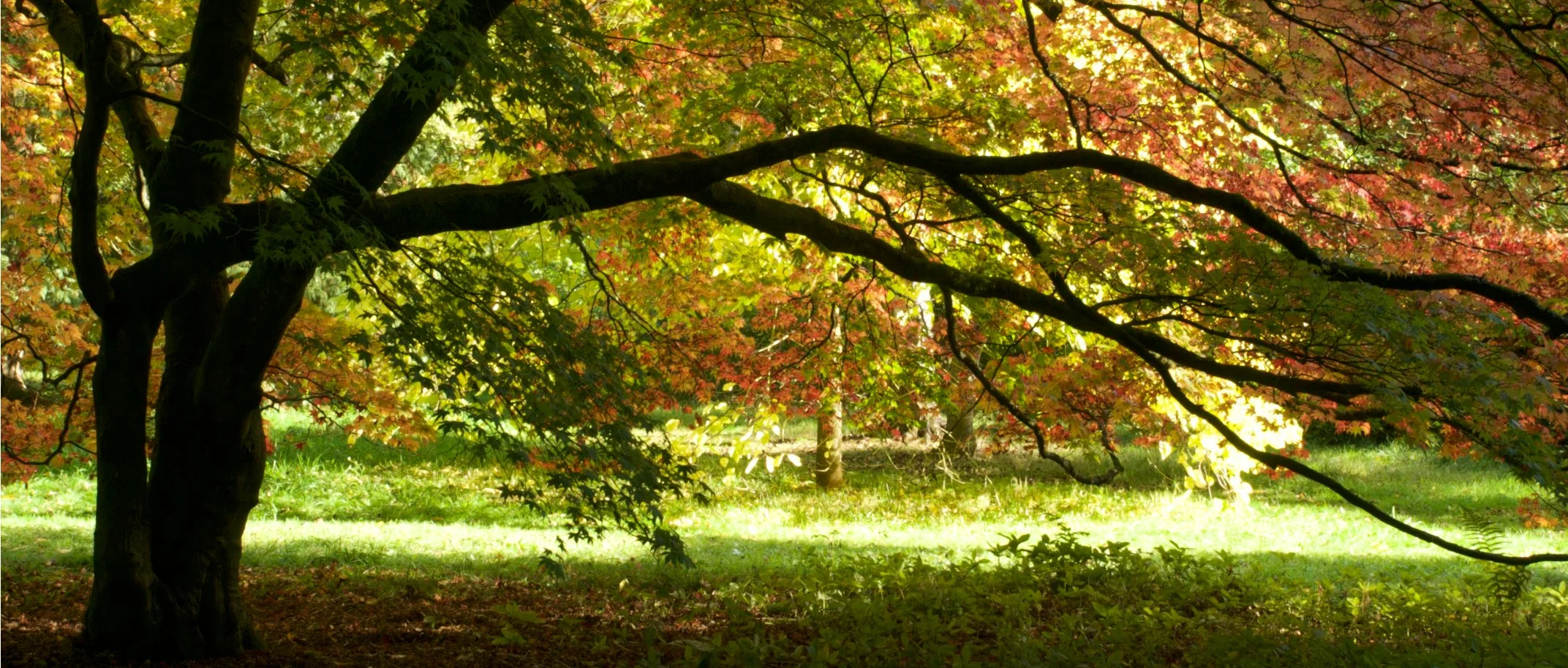 autumn countryside.jpg