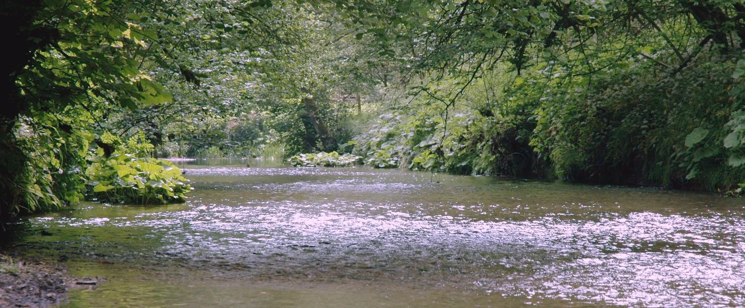 river fishing.jpg