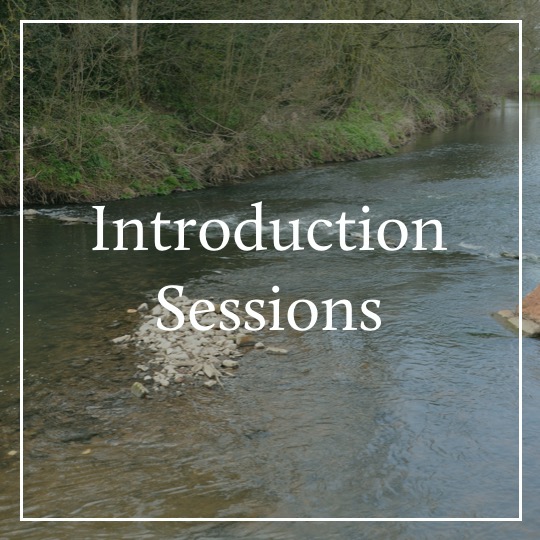 Introduction Sessions